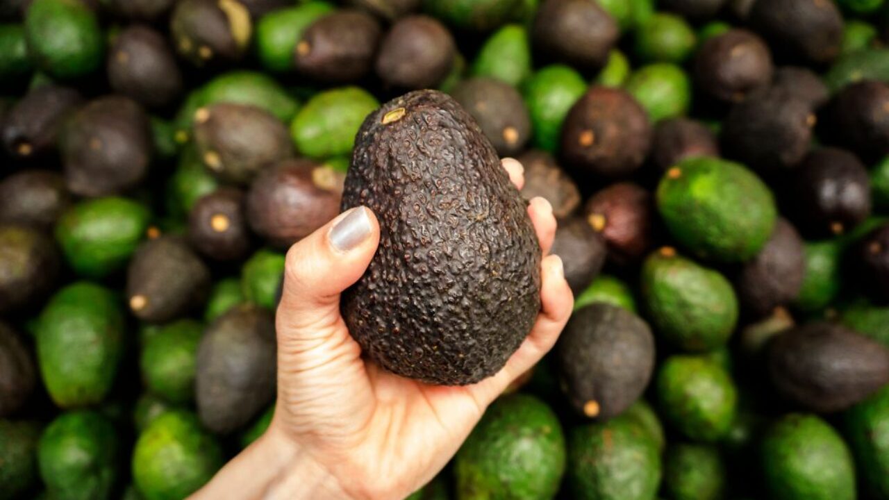 プロ直伝 絶対失敗しない美味しいアボカドの見分け方 選ぶ時の3つのポイント 切り方のコツ 保存方法も プロ直伝 絶対失敗しない美味しいアボカドの見分け方 選ぶ時の3つのポイント 切り方のコツ 保存方法も