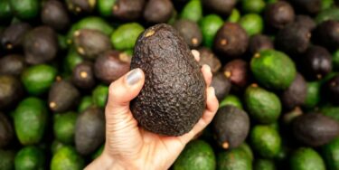 まずい ローソンで購入したスイカジュース Chabaaウォーターメロン が口に合わない 飲むスイカ ではなかった件