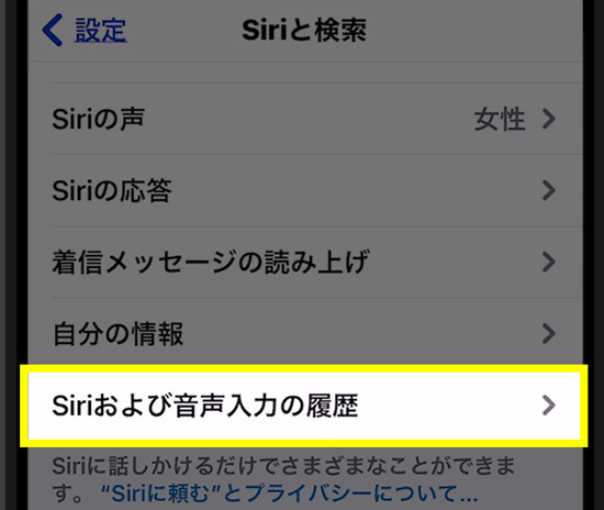 Siriの履歴削除でiPhoneストレージ「その他」を減らす5