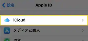 iCloudで共有させたいデータは選択できる3