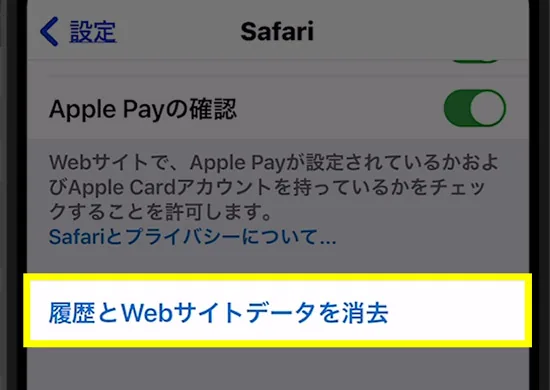 Safariの履歴削除でiPhoneストレージ「その他」を減らす5