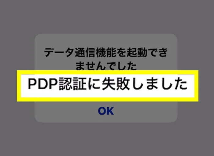 PDP認証失敗!の原因・意味とは